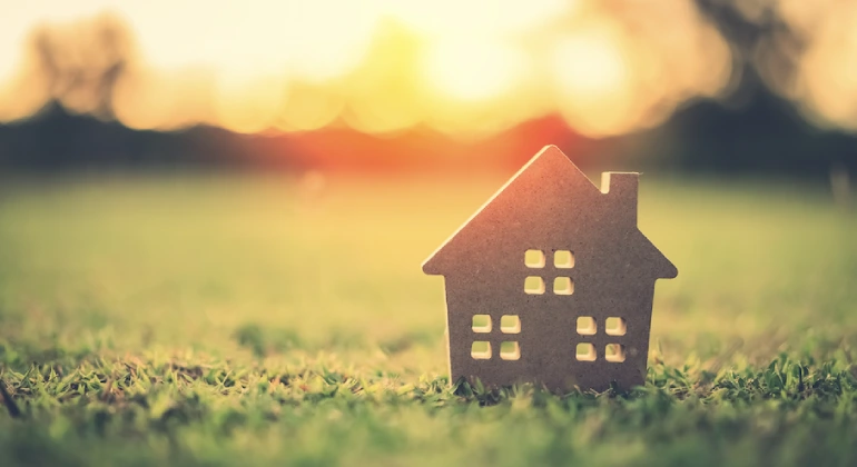 Scalability and Innovation